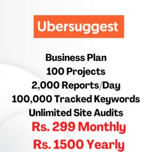 Ubersuggest Business Plan